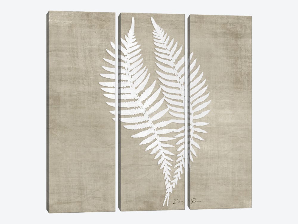 Natures Fern II by Denise Brown 3-piece Canvas Wall Art
