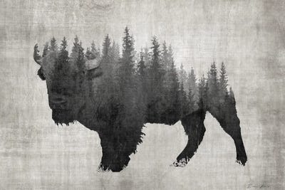 Pine Bison by Denise Brown canvas print
