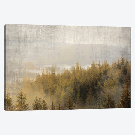 Pine Tops Canvas Print #DSB89} by Denise Brown Canvas Art