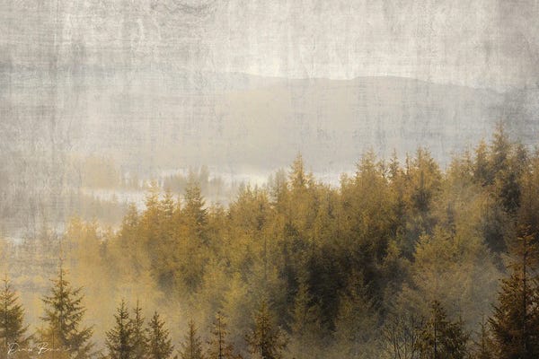 Denise Brown: Pine Tops by Denise Brown