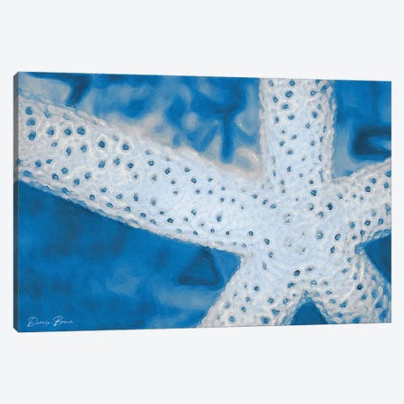 Star Fish Canvas Print #DSB94} by Denise Brown Canvas Art