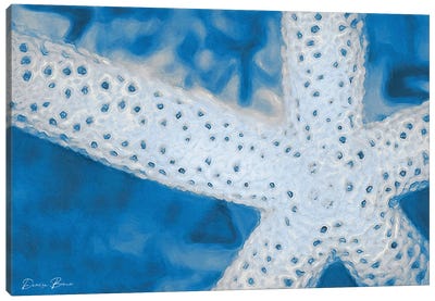 Star Fish Canvas Art Print - Starfish Art