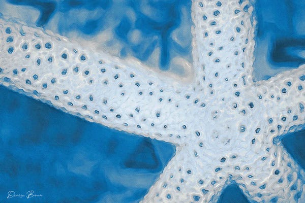 Starfish: Star Fish by Denise Brown