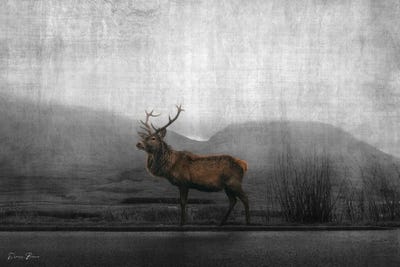 Watch by Denise Brown canvas print