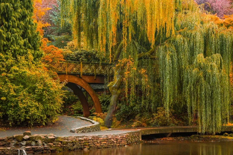 Willows Over The Pond by Don Schwartz wall art