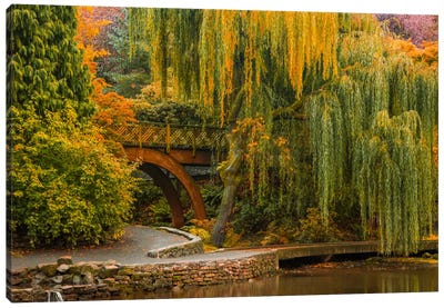 Willows Over The Pond Canvas Art Print - Willow Tree Art