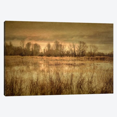 Winter Wetland I Canvas Print #DSC104} by Don Schwartz Art Print