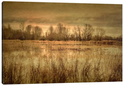 Winter Wetland I Canvas Art Print - Don Schwartz