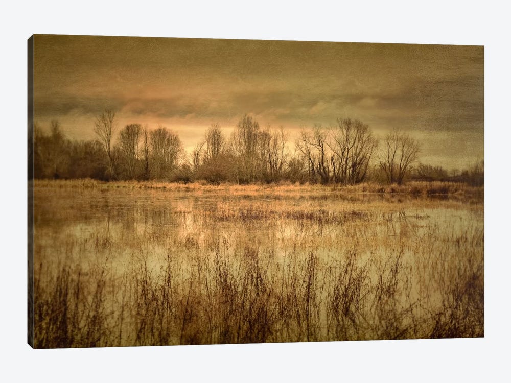 Winter Wetland I by Don Schwartz 1-piece Canvas Wall Art