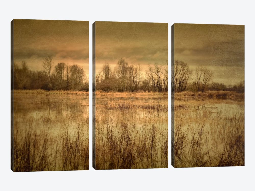 Winter Wetland I by Don Schwartz 3-piece Canvas Art