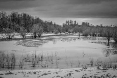 Winter Wetland II by Don Schwartz framed wall art