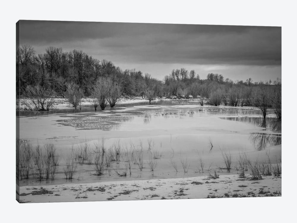 Winter Wetland II by Don Schwartz 1-piece Canvas Art Print