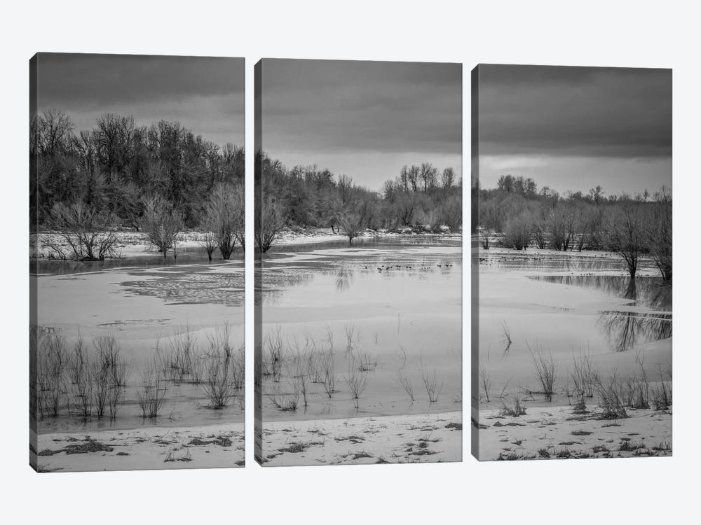 Winter Wetland II by Don Schwartz 3-piece Canvas Print