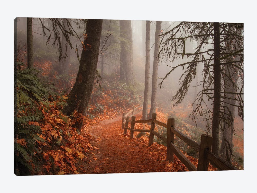 Along The Trail by Don Schwartz 1-piece Canvas Wall Art