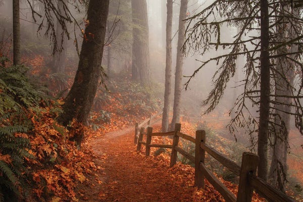 Along The Trail