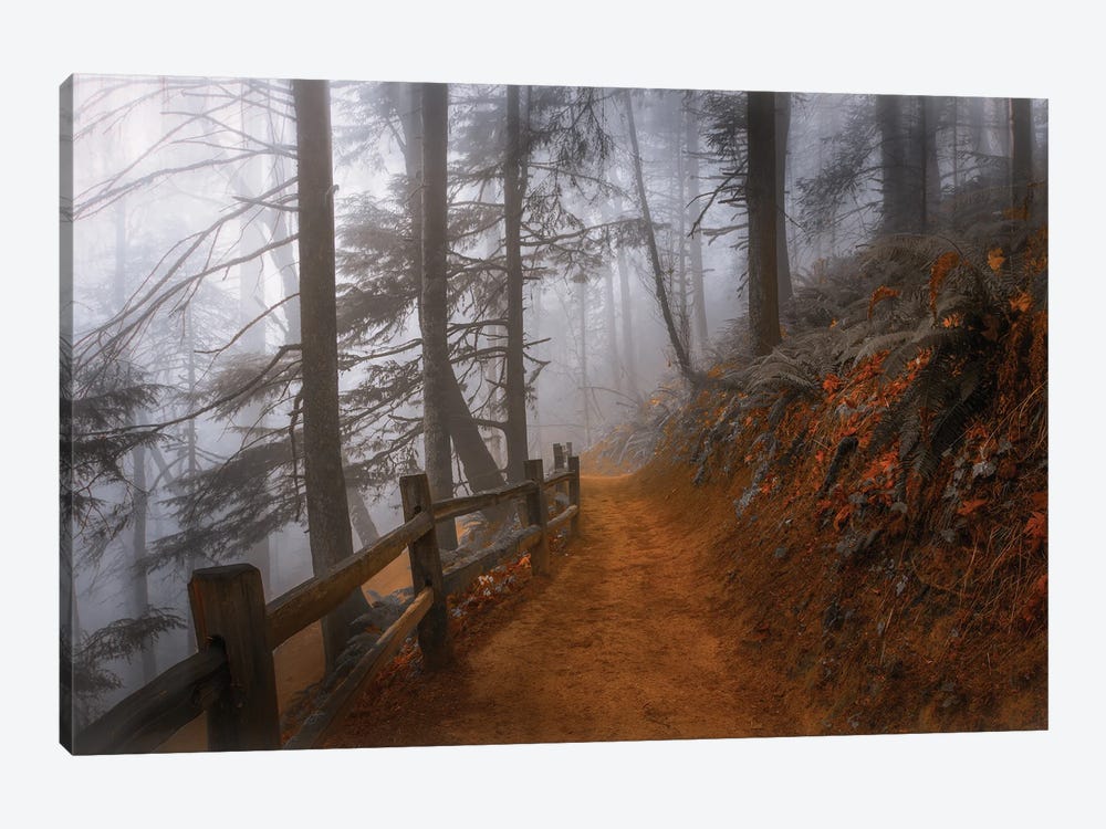 Autumn Fog In The Forest by Don Schwartz 1-piece Canvas Art