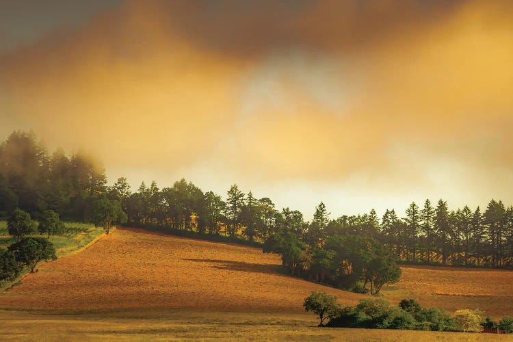 Farmhouse In The Hills Of Wine Country