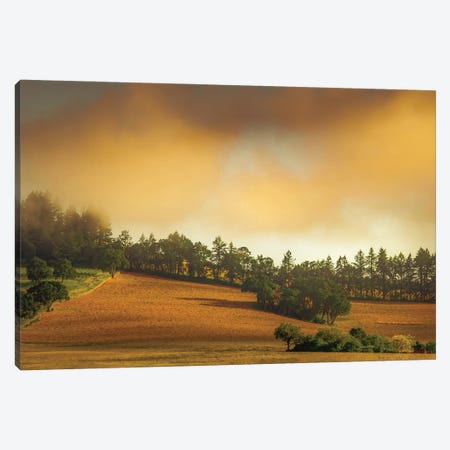 Farmhouse In The Hills Of Wine Country Canvas Print #DSC114} by Don Schwartz Canvas Wall Art