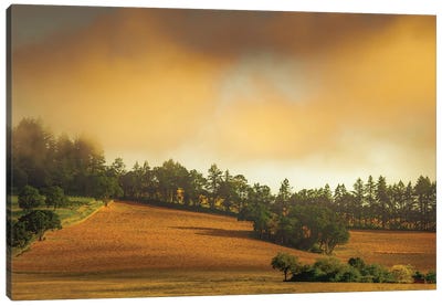 Farmhouse In The Hills Of Wine Country Canvas Art Print - Don Schwartz