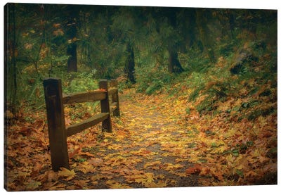 Leafy Path Canvas Art Print - Don Schwartz