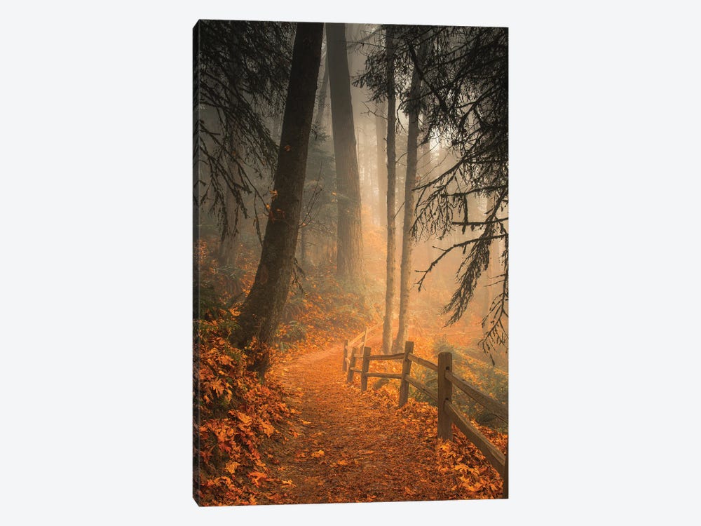 Leaves Through The Trees by Don Schwartz 1-piece Canvas Wall Art