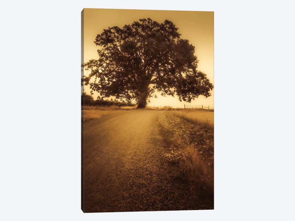 The Tree At The End Of The Road by Don Schwartz 1-piece Canvas Artwork