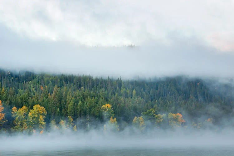 A Touch Of Autumn by Don Schwartz wall art