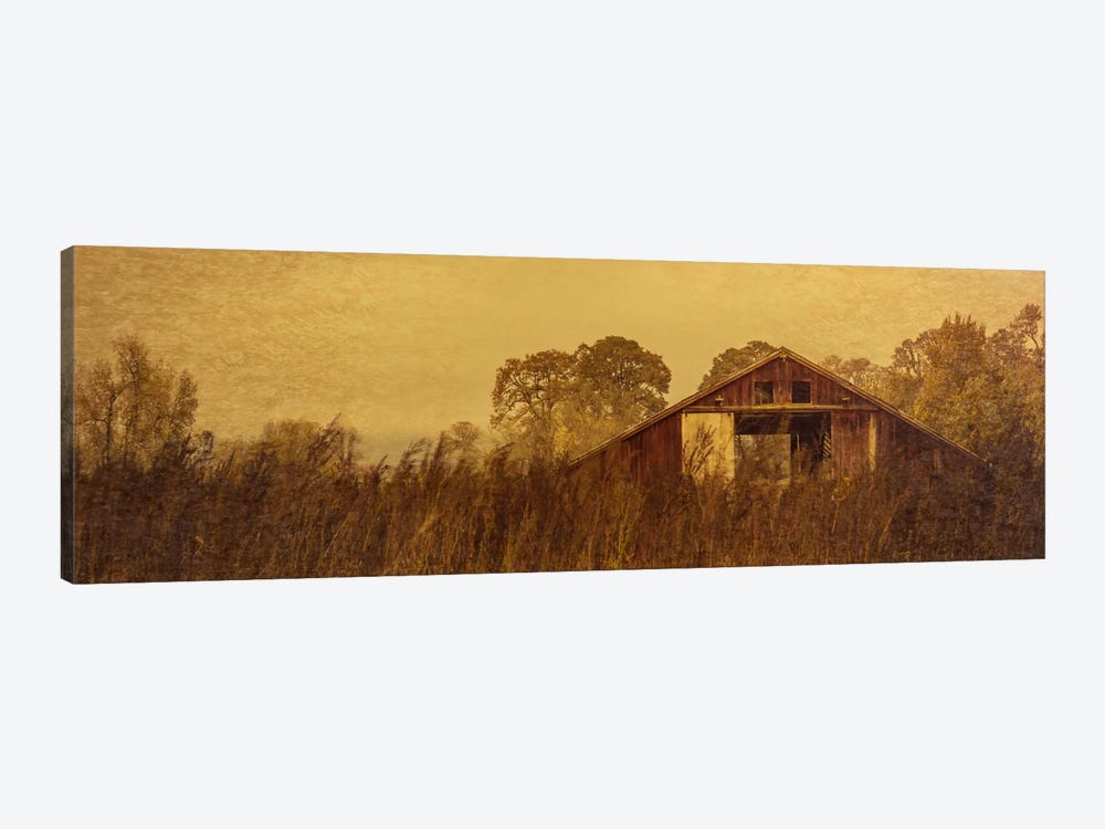 Barn Smothered By Tall Grasses by Don Schwartz 1-piece Canvas Artwork
