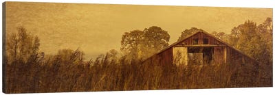 Barn Smothered By Tall Grasses Canvas Art Print - Dereliction Art