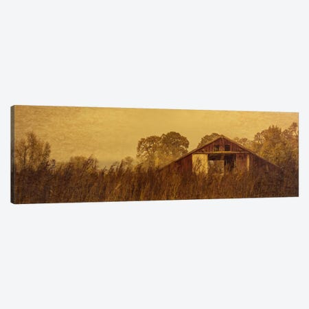 Barn Smothered By Tall Grasses Canvas Print #DSC12} by Don Schwartz Canvas Art