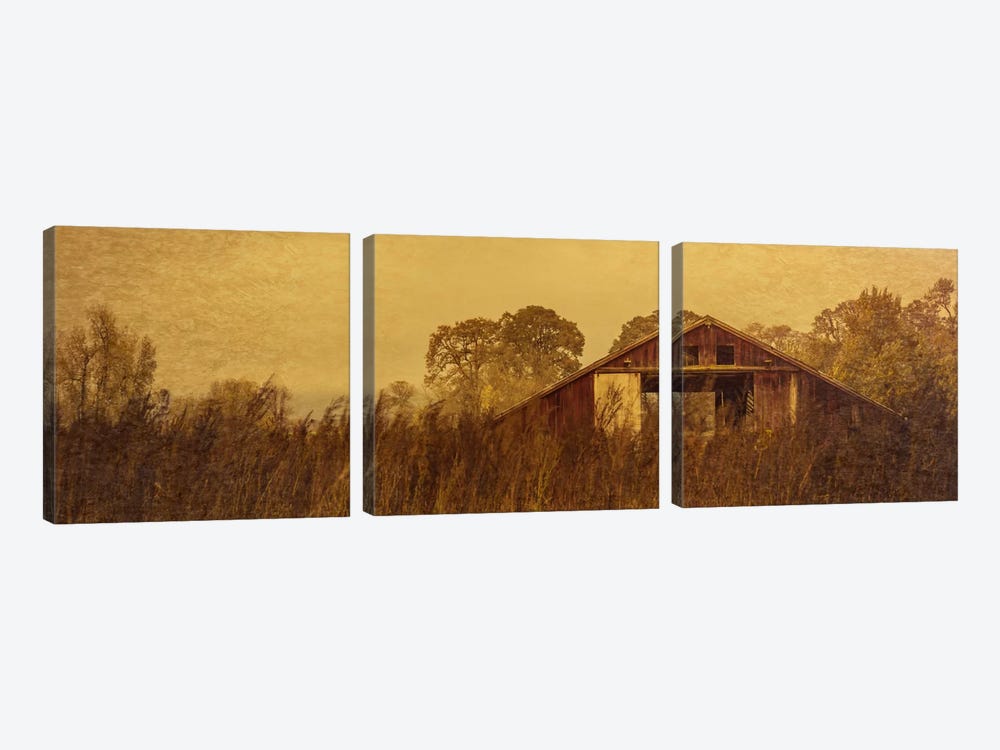 Barn Smothered By Tall Grasses by Don Schwartz 3-piece Canvas Artwork