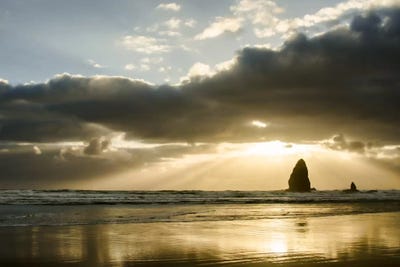 Basking In Light by Don Schwartz canvas print