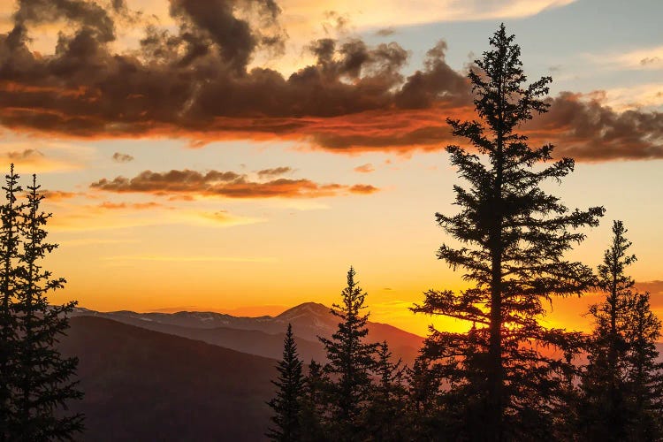 Golden Mountain Light by Don Schwartz wall art