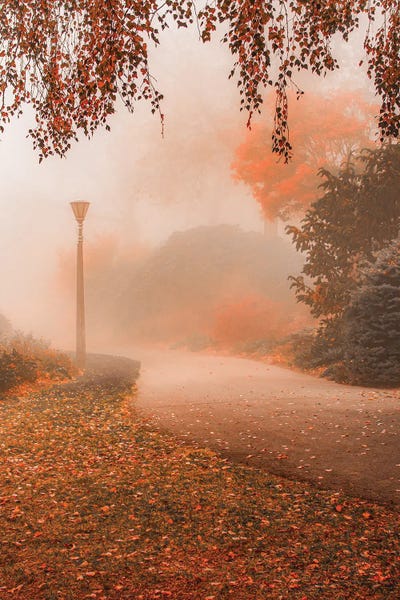 Invitation To Stroll