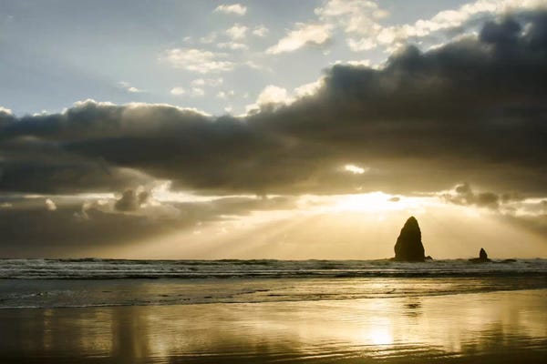 Beach Sunrises & Sunsets: Basking In Light by Don Schwartz