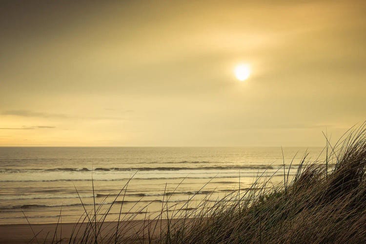 Sweeping Dunes