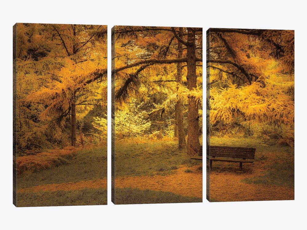 Bench Beneath The Larches by Don Schwartz 3-piece Canvas Wall Art