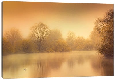 Duck On A Pond Canvas Art Print - Don Schwartz