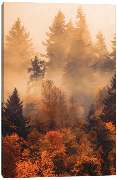 Forest In The Autumn Mist Canvas Art Print - Layered Landscapes