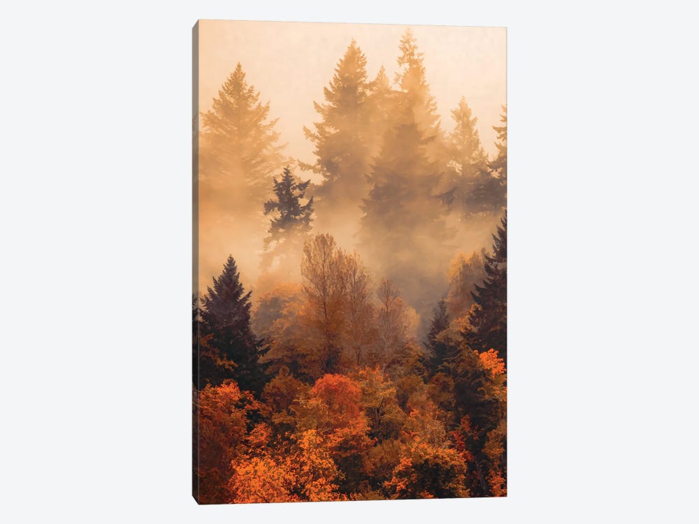 Forest In The Autumn Mist by Don Schwartz 1-piece Canvas Art Print