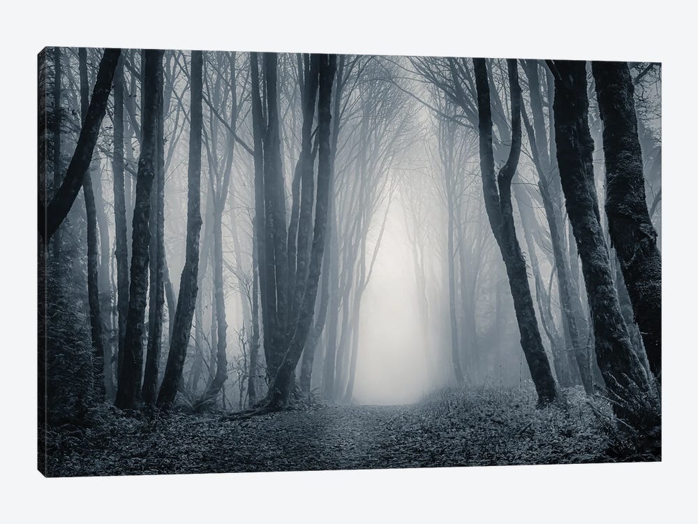 Light Through The Misty Trees II by Don Schwartz 1-piece Art Print