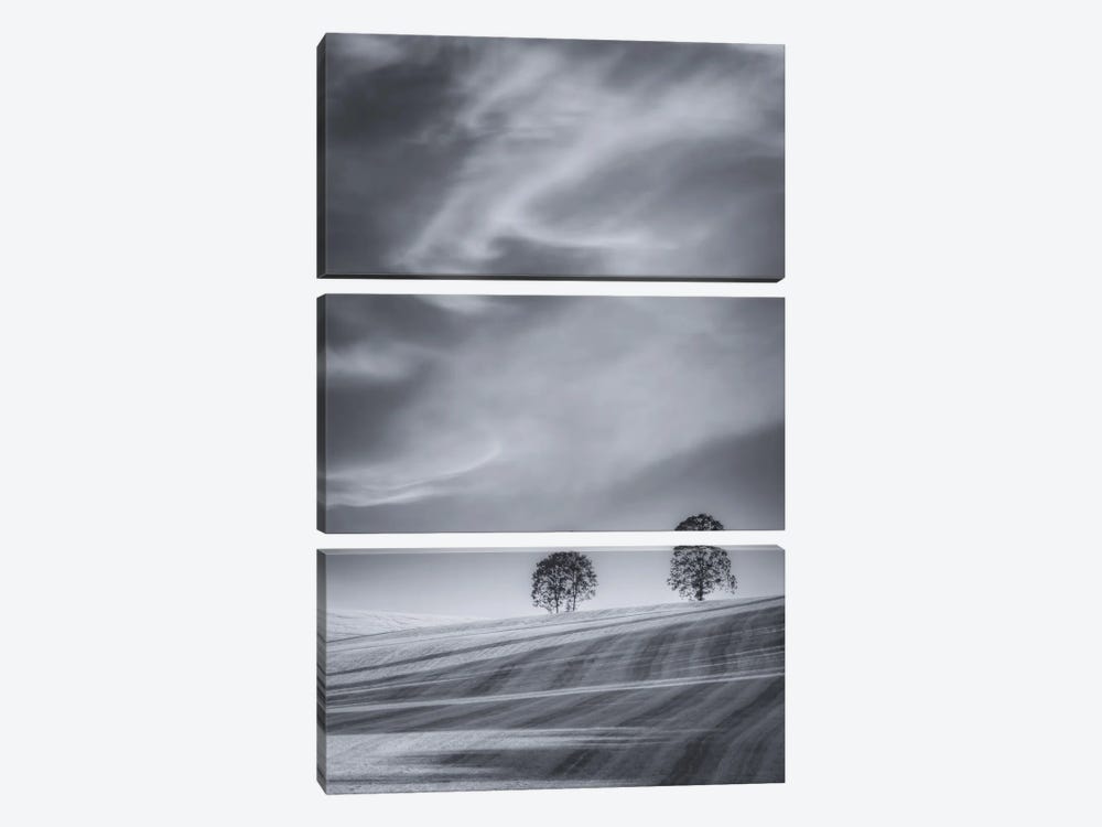 Two Trees On A Hillside by Don Schwartz 3-piece Canvas Art