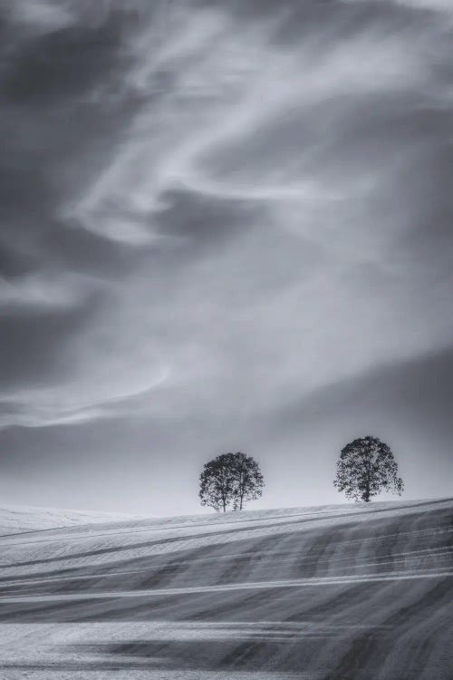 Two Trees On A Hillside by Don Schwartz wall art