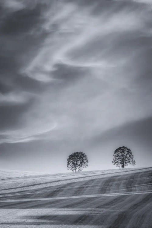 Two Trees On A Hillside