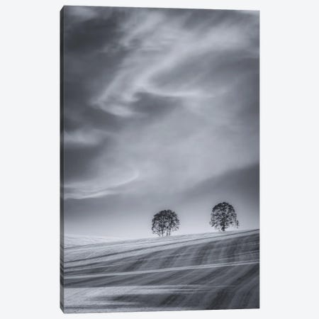 Two Trees On A Hillside Canvas Print #DSC162} by Don Schwartz Canvas Artwork