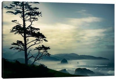 Beyond The Tree At The Overlook Canvas Art Print - Mist & Fog Art