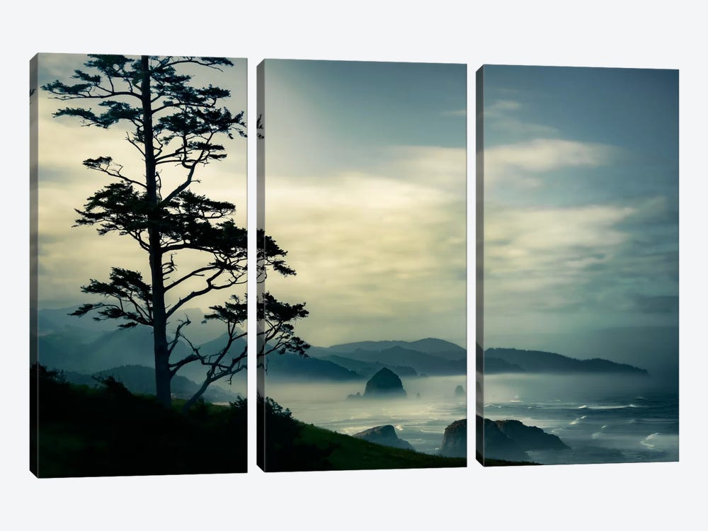Beyond The Tree At The Overlook by Don Schwartz 3-piece Canvas Wall Art