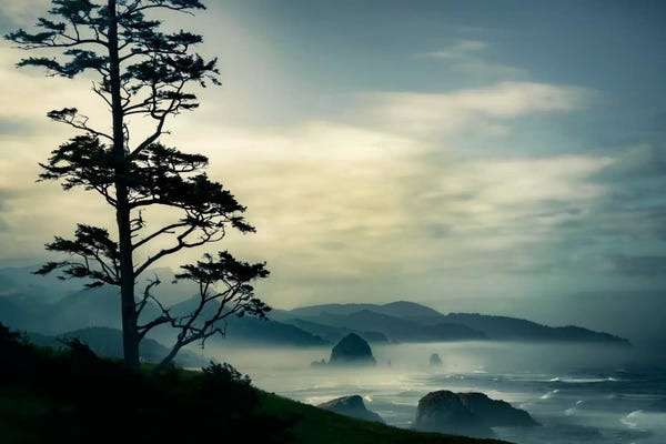 Mist & Fog: Beyond The Tree At The Overlook by Don Schwartz