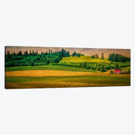 Country Meadows Canvas Print #DSC24} by Don Schwartz Canvas Wall Art