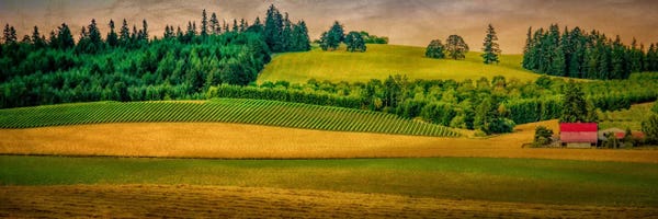 Country Meadows